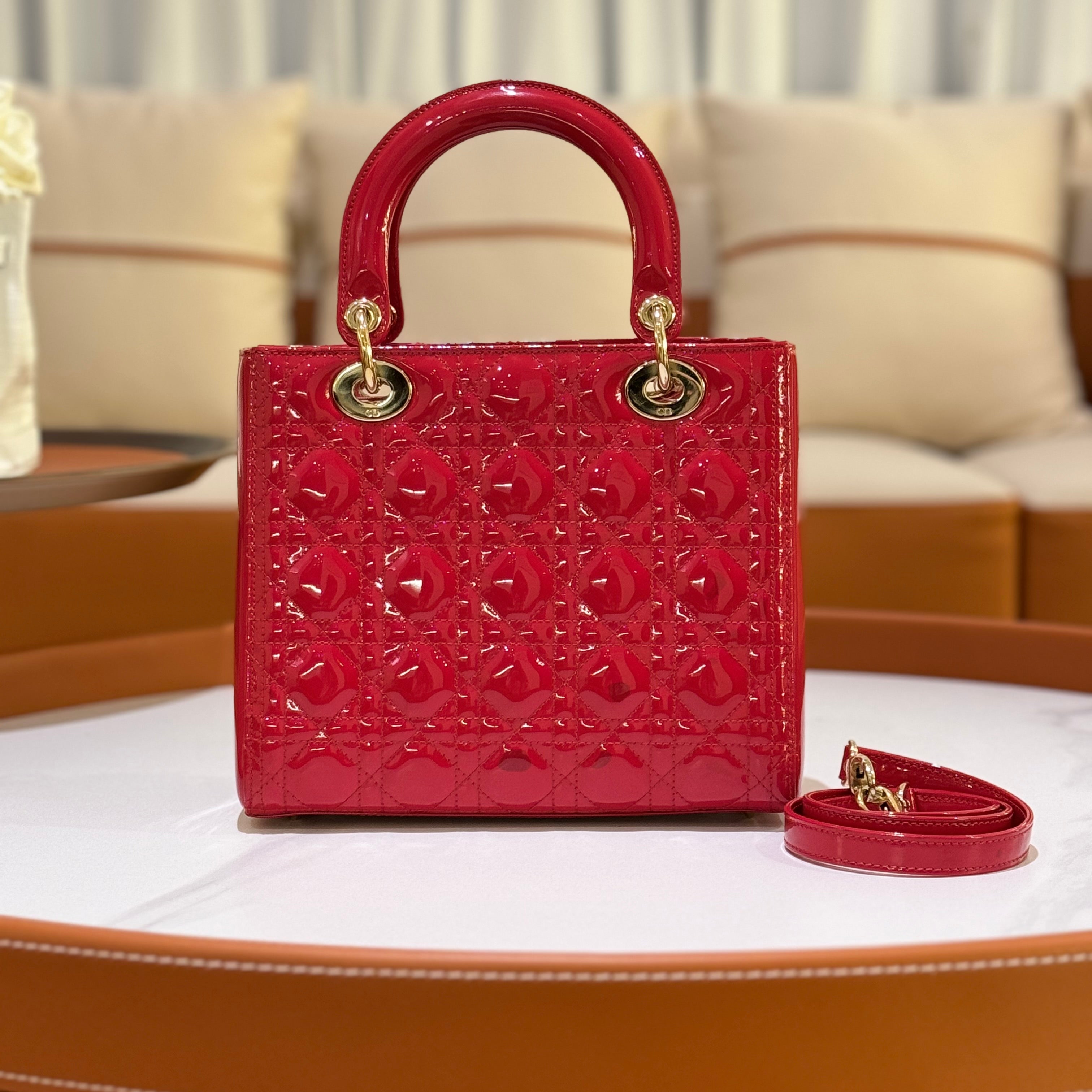 MEDIUM LADY DIOR BAG | COLLINS RAIN