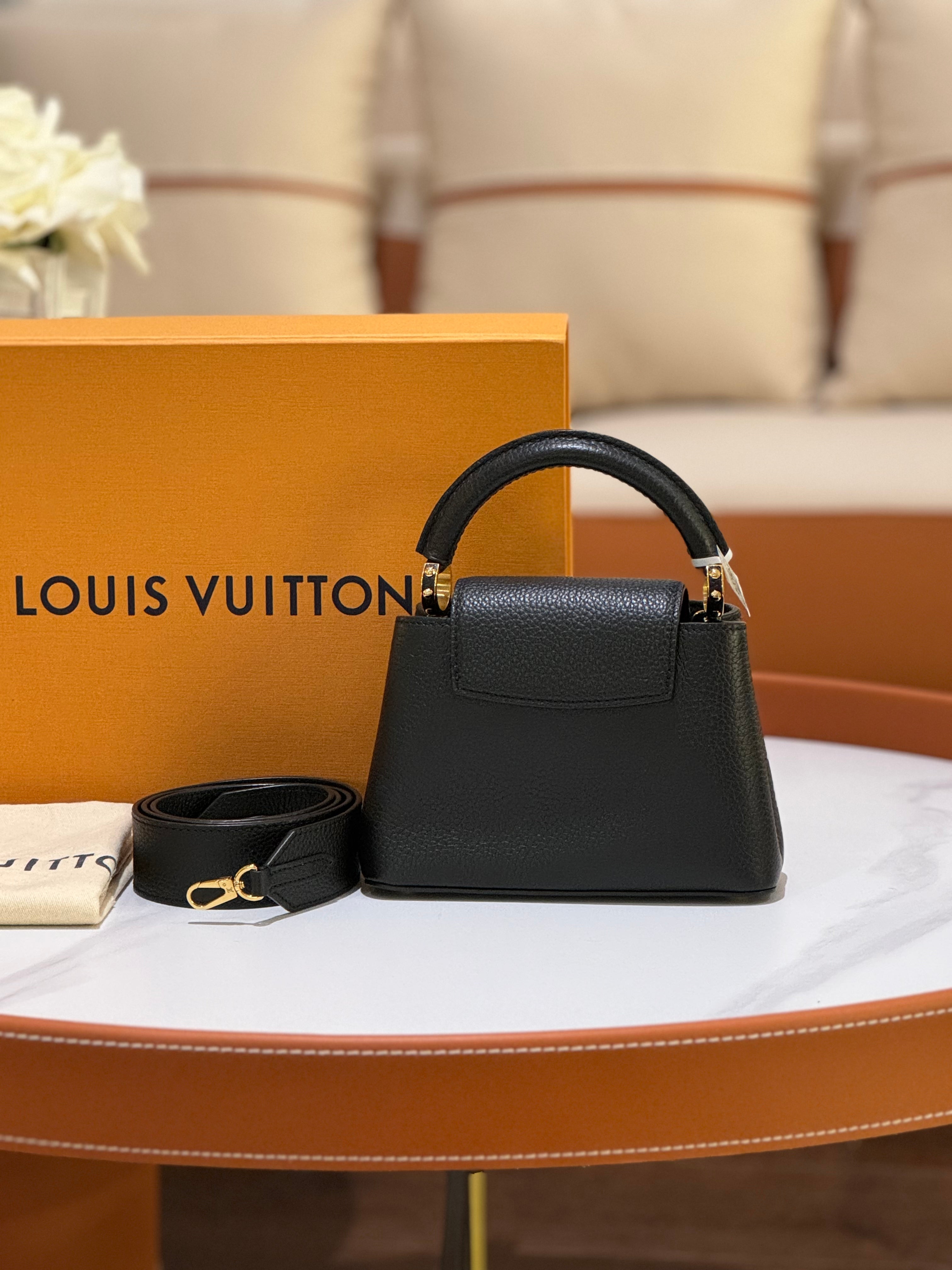 LOUIS VUITTON CAPUCINES MINI | COLLINS RAIN