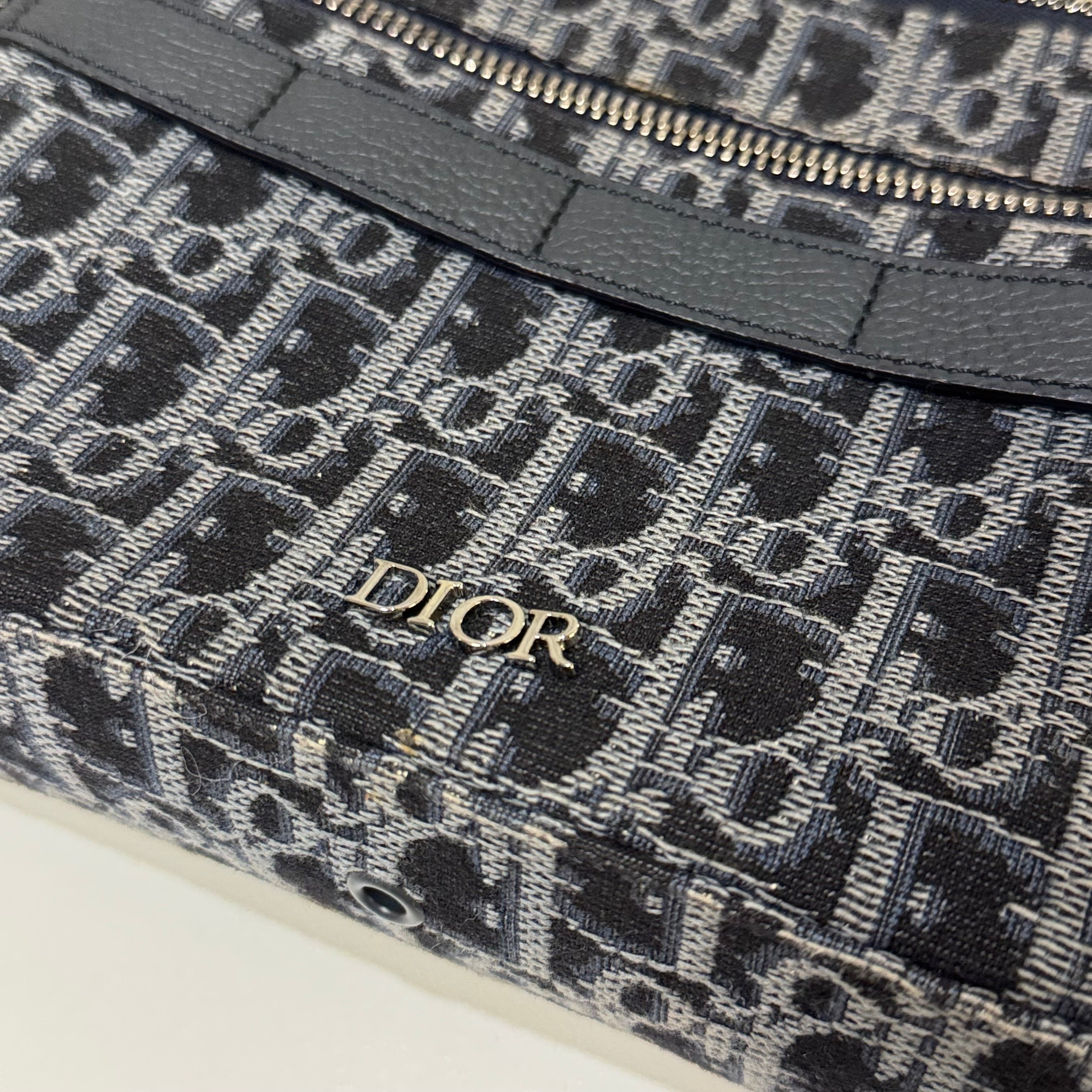 DIOR SAFARI MONOGRAM CAMERA BAG