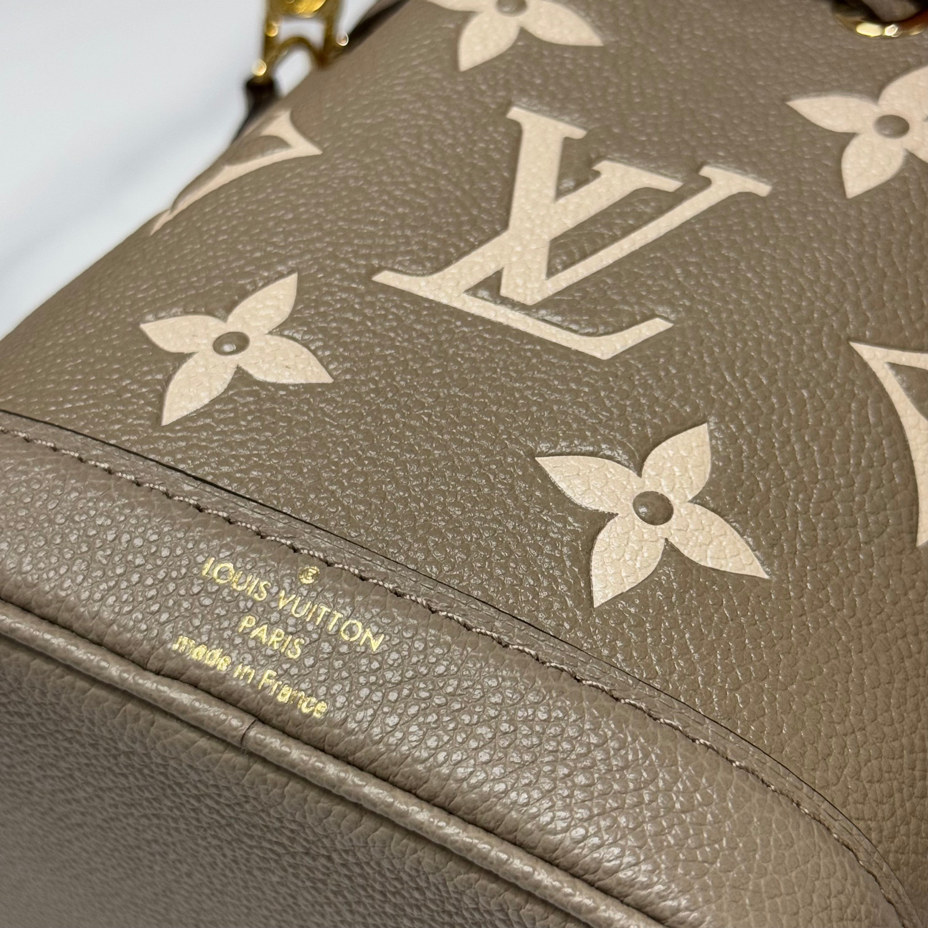 LOUIS VUITTON NANO NOE BUCKET BAG