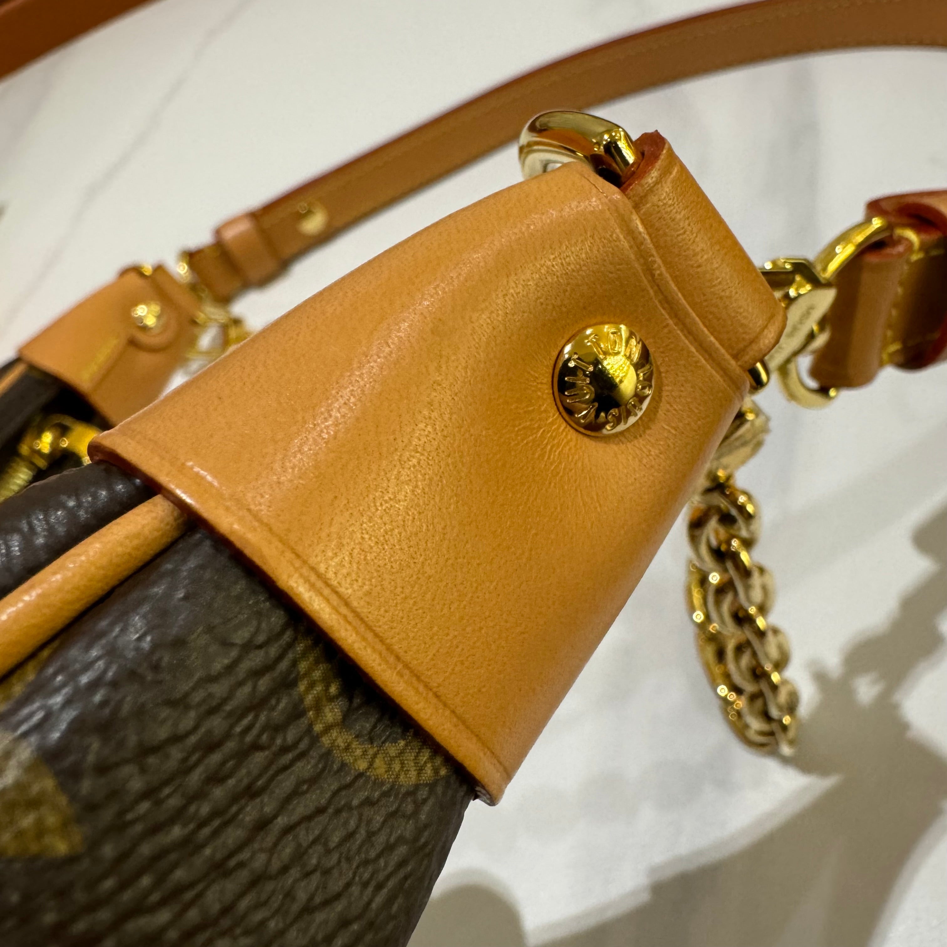 LOUIS VUITTON LOOP PEA POD BAG | COLLINS RAIN