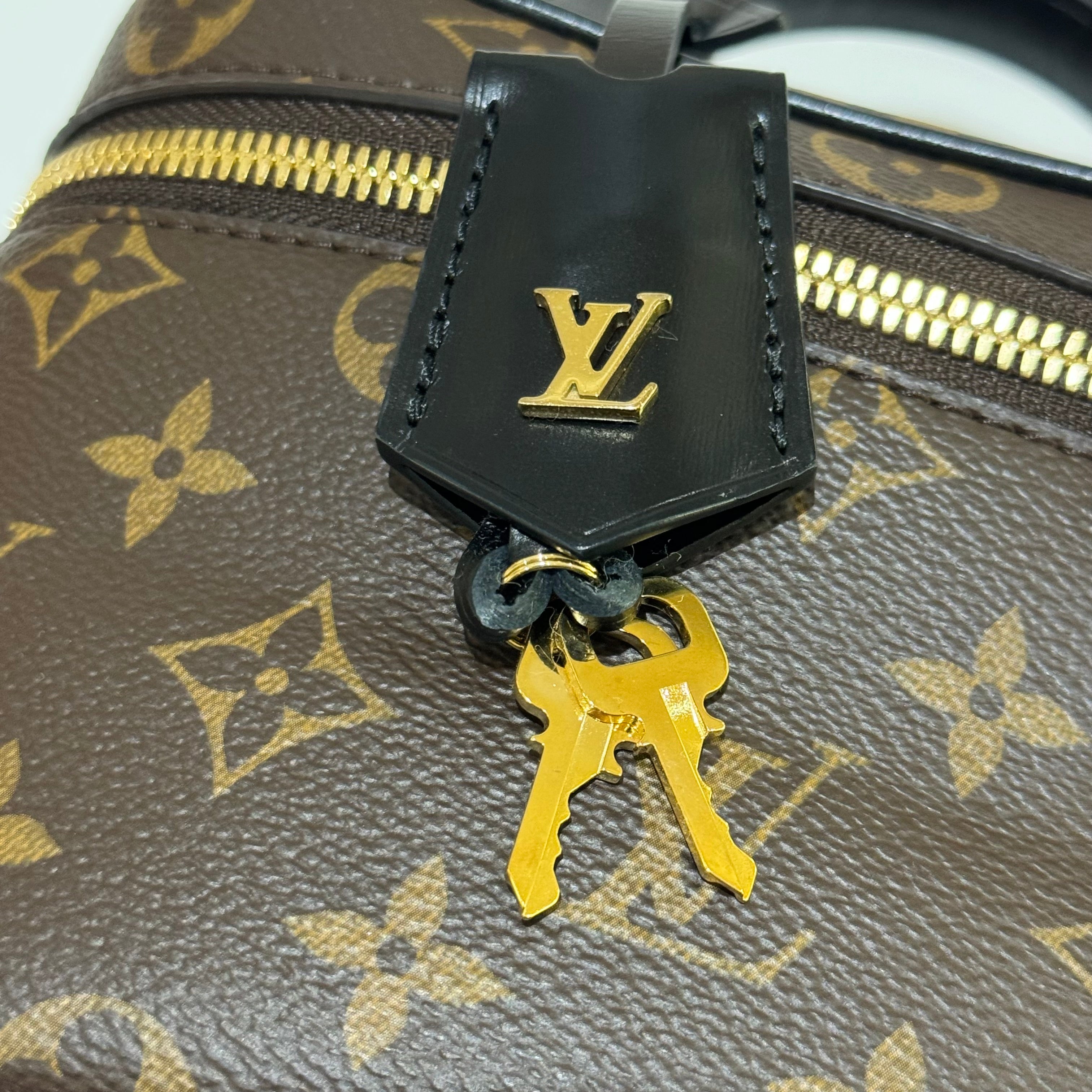 LOUIS VUITTON VANITY MONOGRAM BOX BAG | COLLINS RAIN