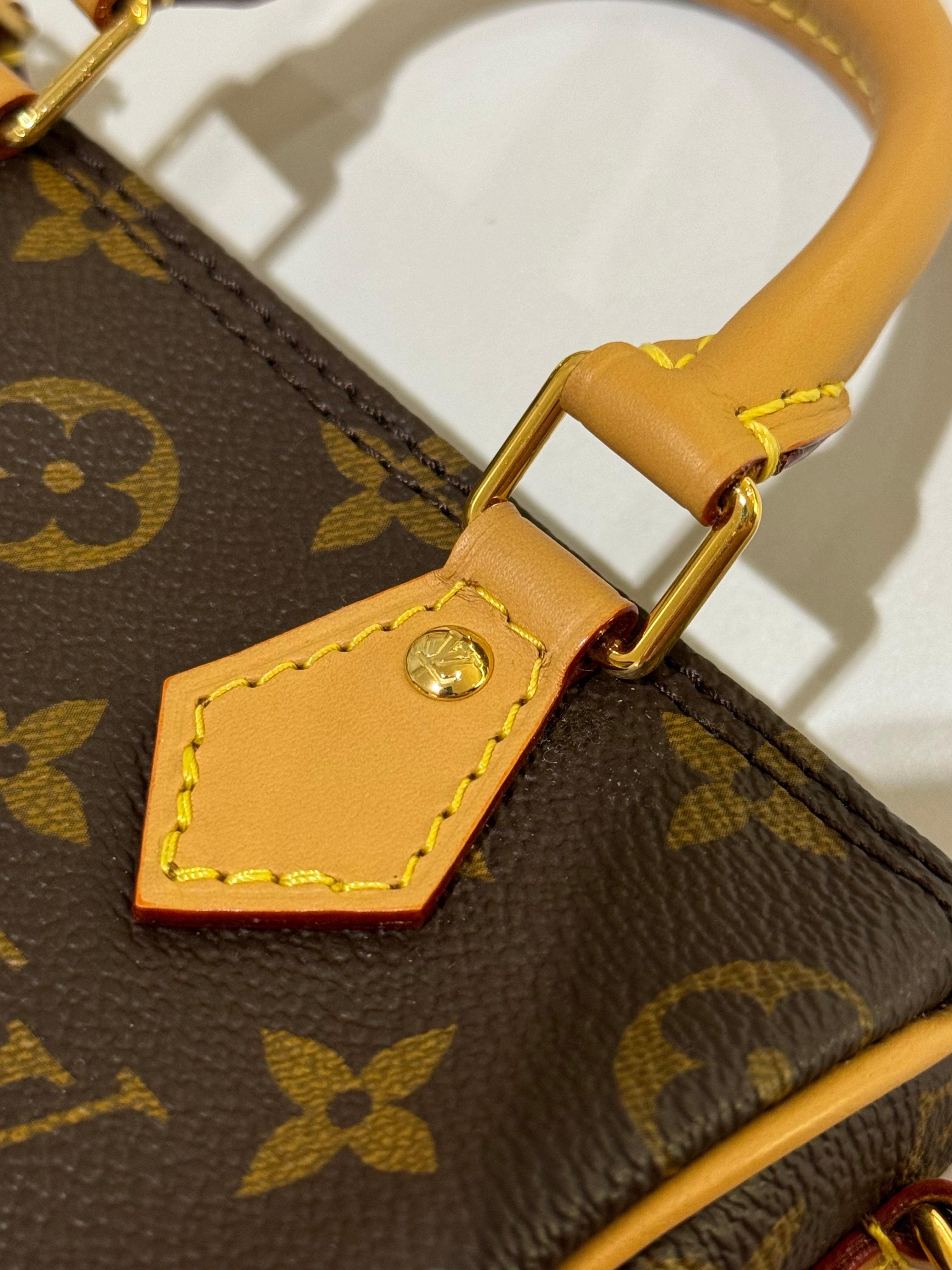 LOUIS VUITTON SPEEDY NANO | COLLINS RAIN