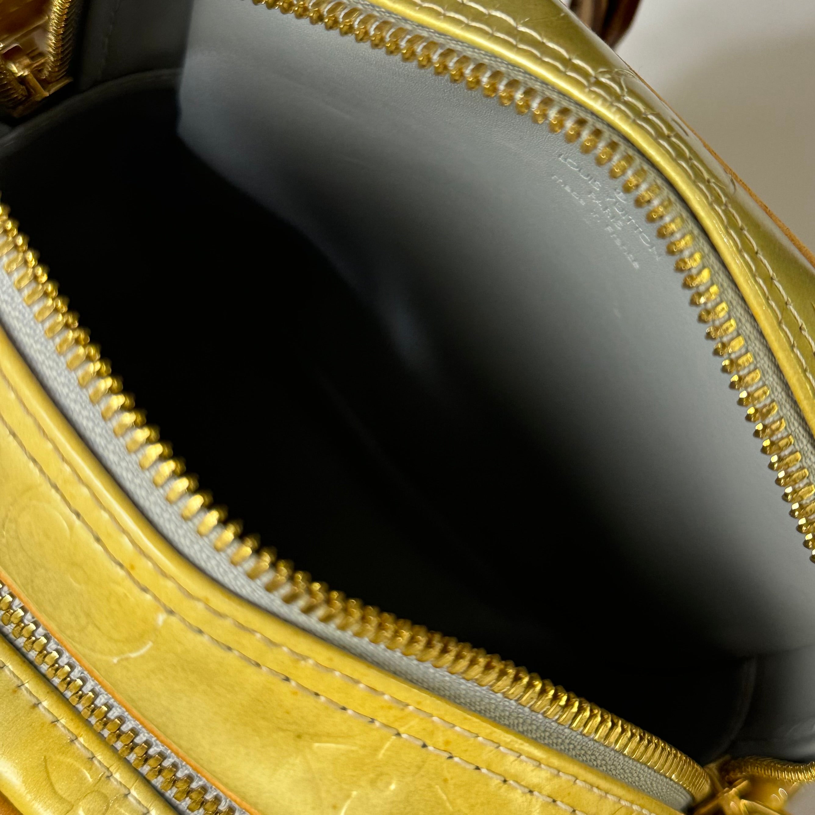 LOUIS VUITTON VINTAGE CAMERA BAG