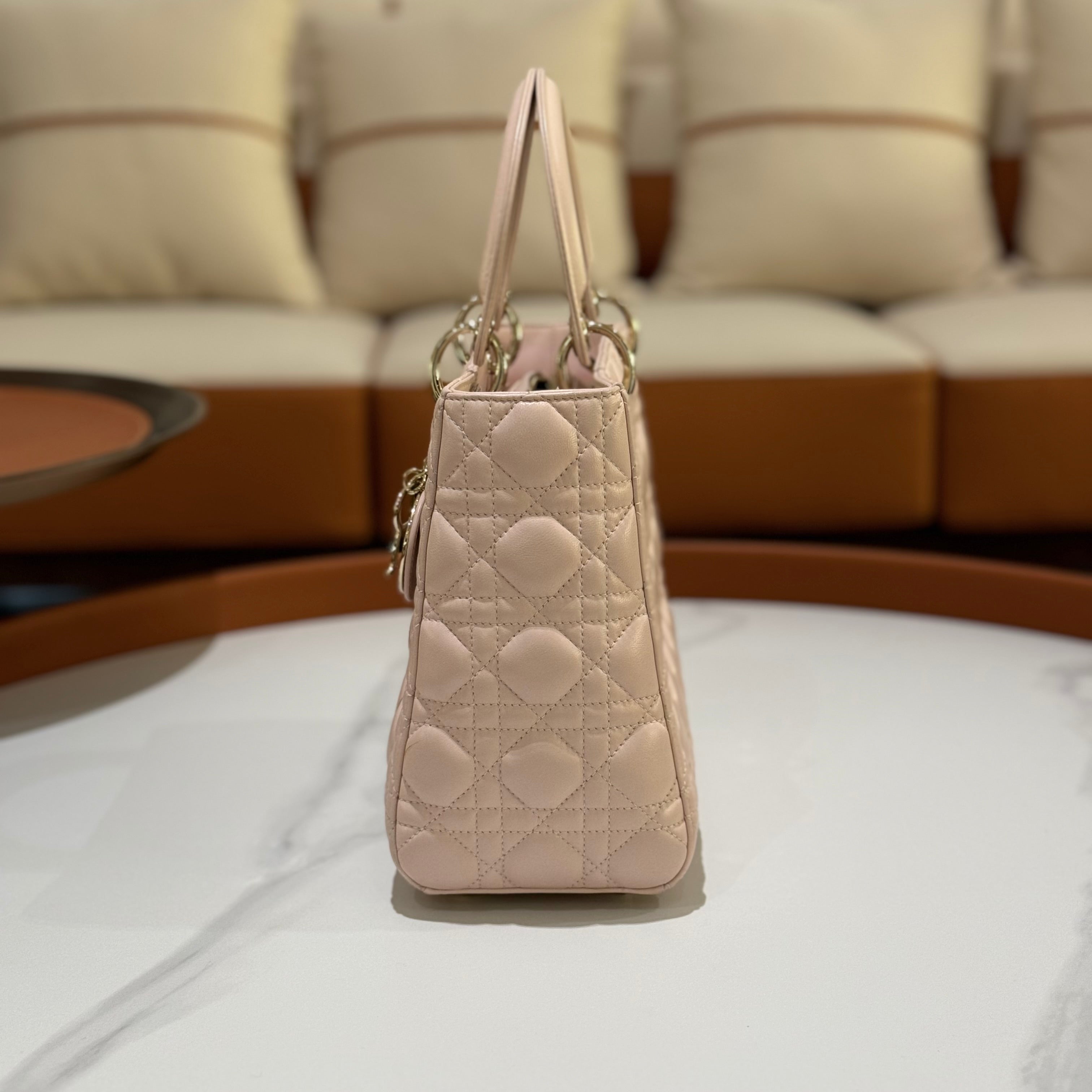 MEDIUM LADY DIOR BAG | COLLINS RAIN