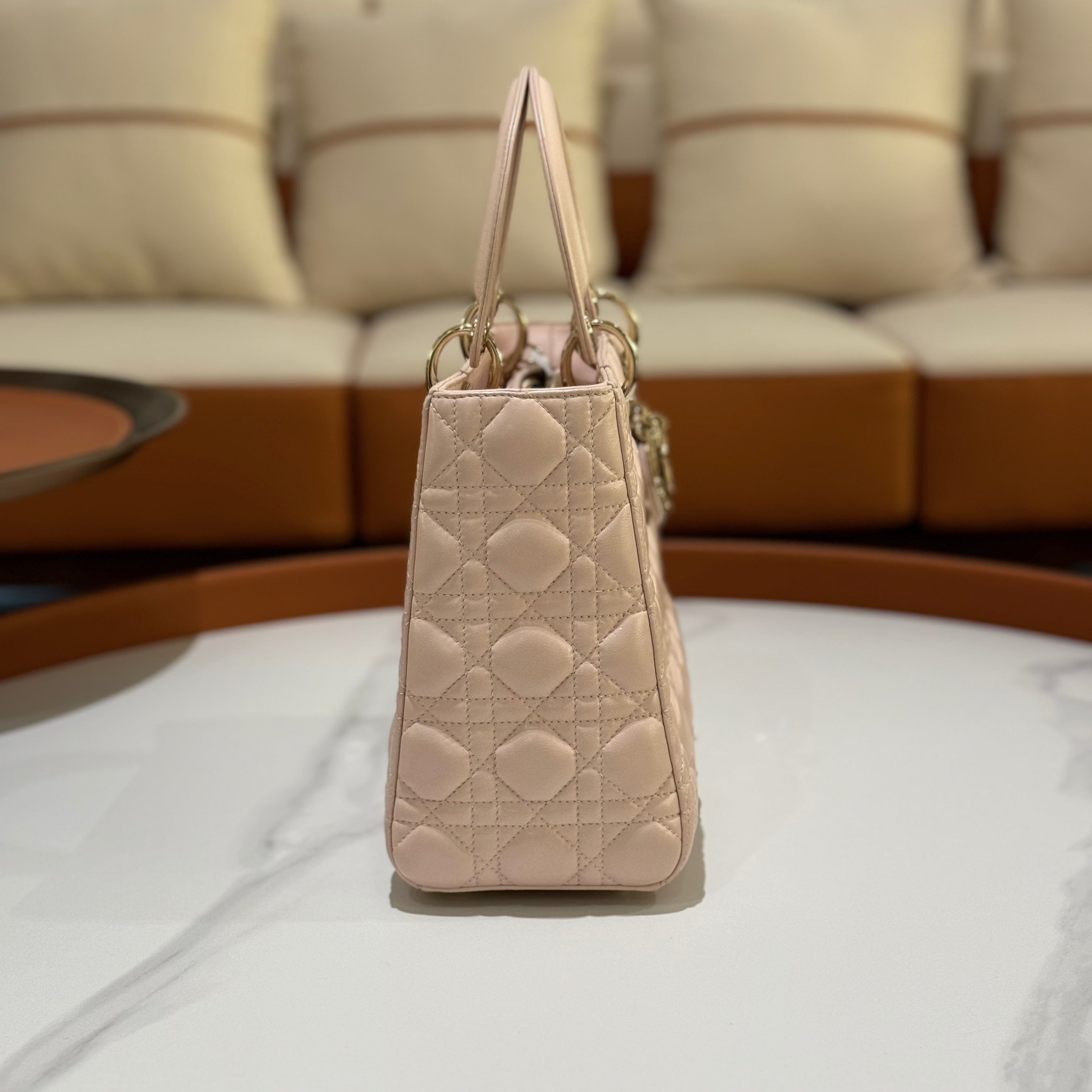 MEDIUM LADY DIOR BAG | COLLINS RAIN