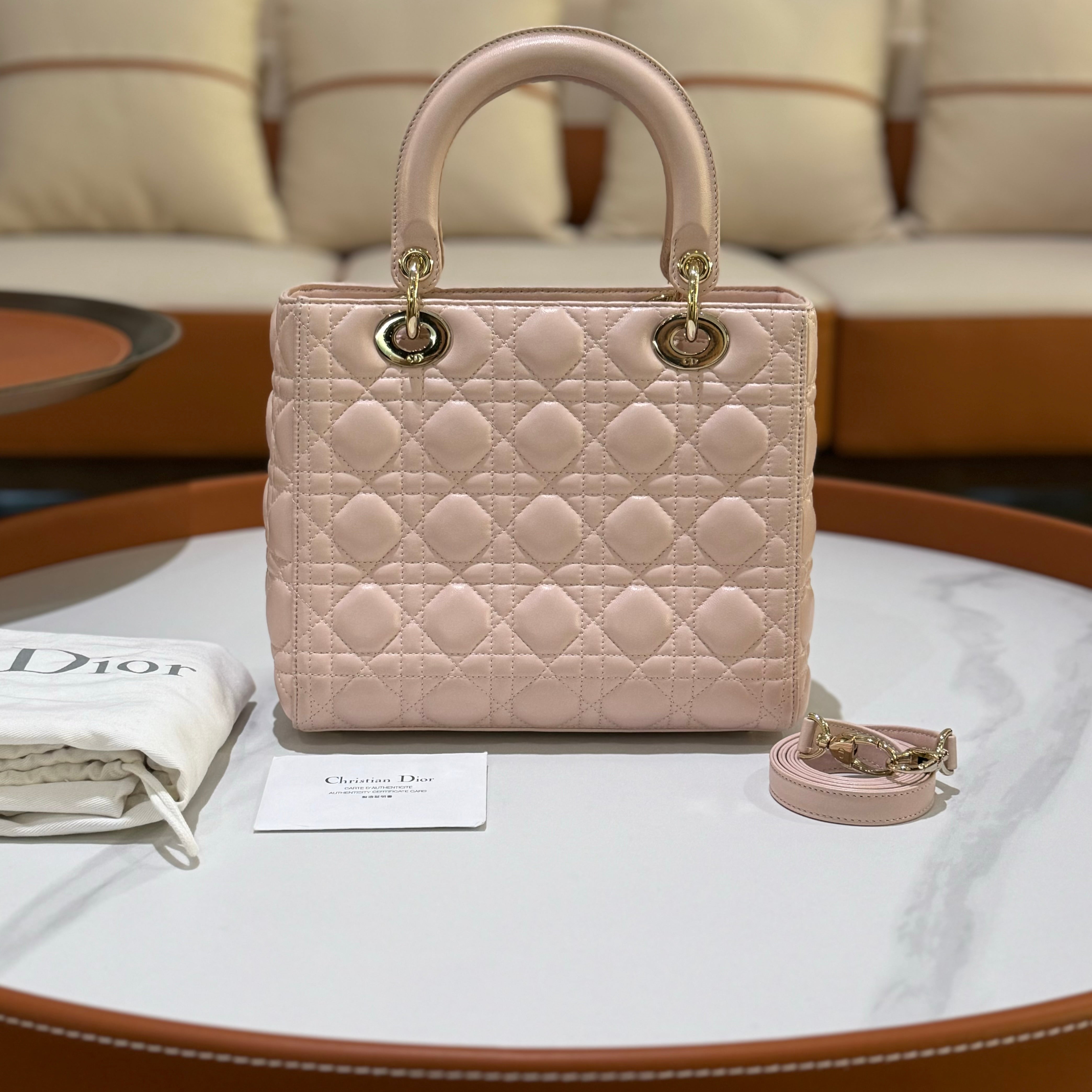 MEDIUM LADY DIOR BAG | COLLINS RAIN